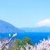 室外景