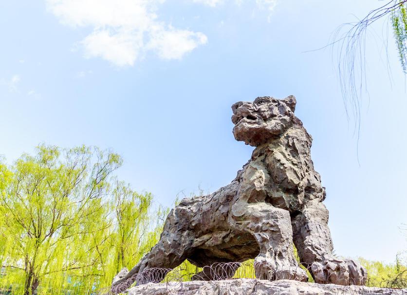 其他 相片