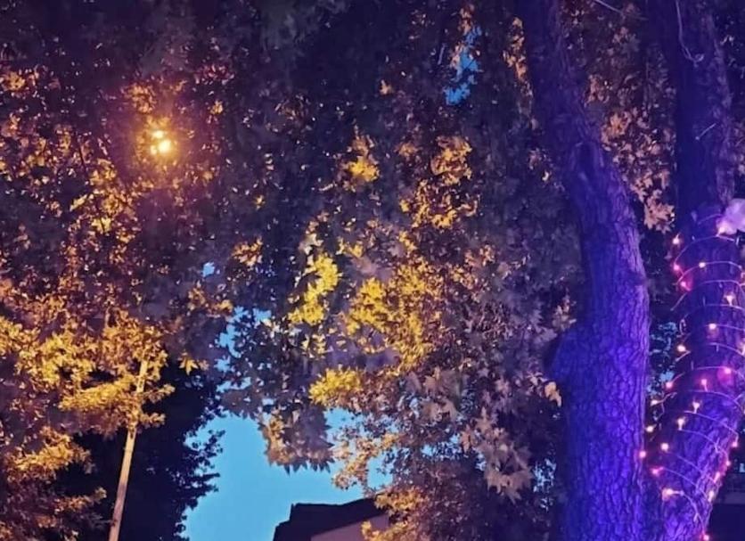 室外景 相片
