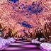 室外景