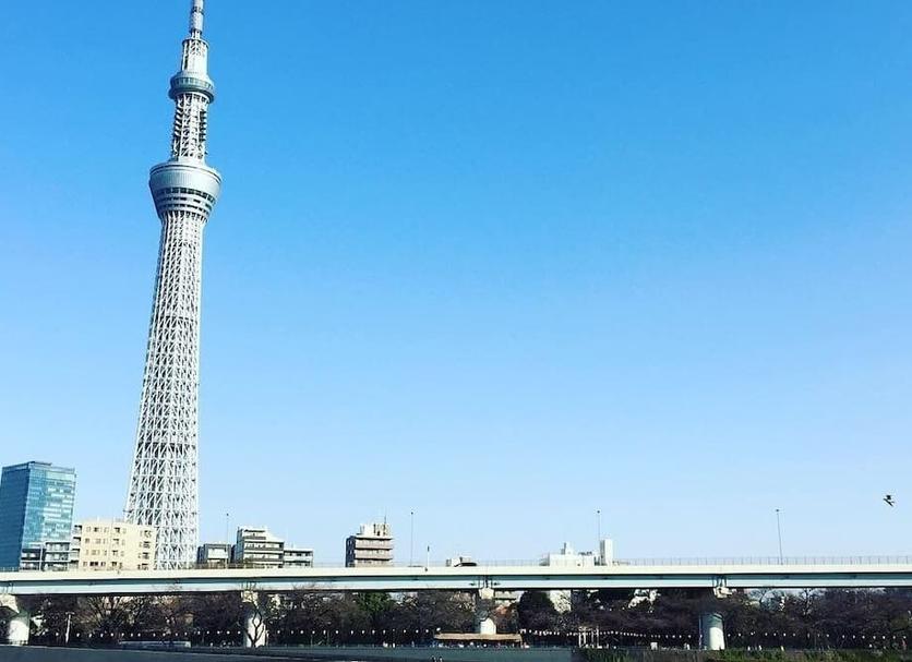 室外景 相片