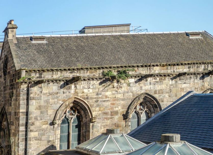 其他 相片