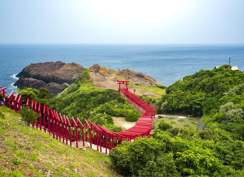 室外景 相片