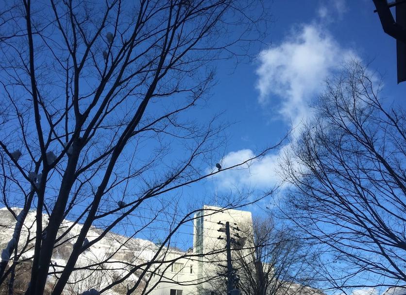 室外景 相片