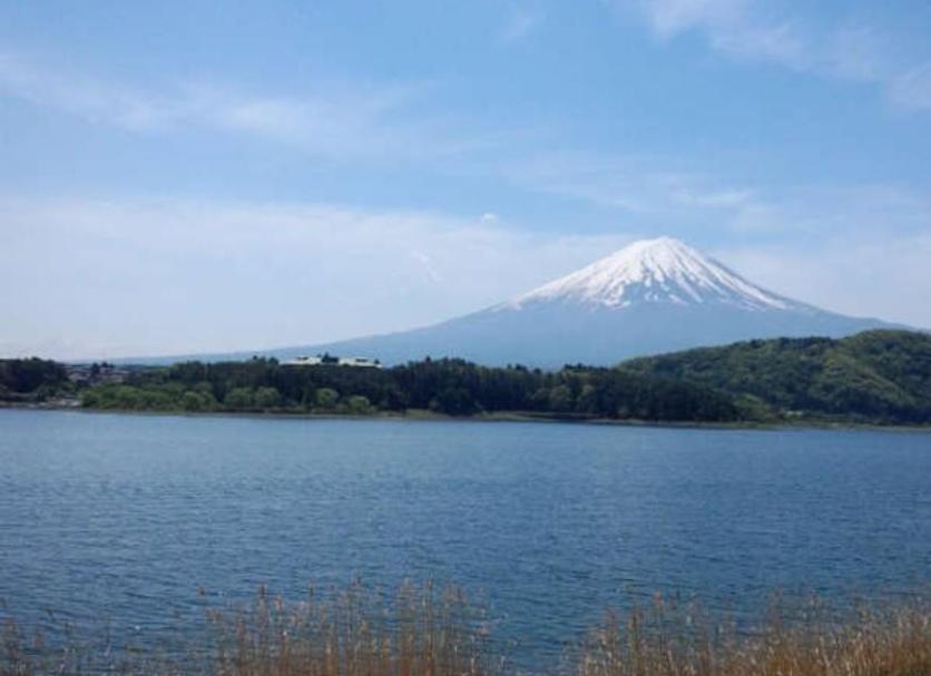 室外景 相片