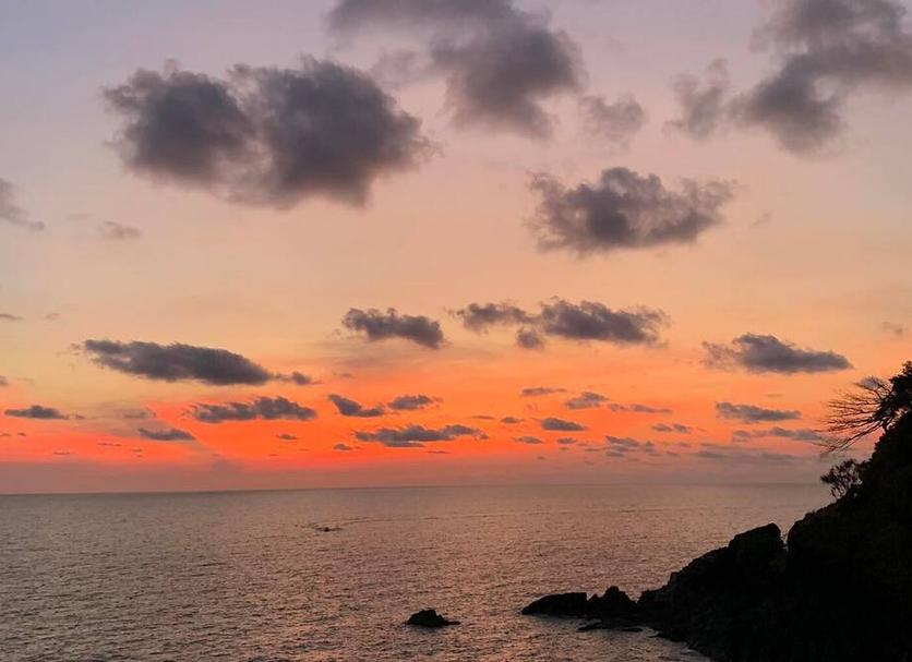 室外景 相片