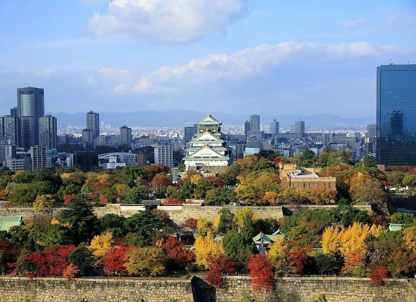 室外景 相片