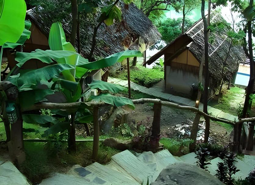 建築 相片
