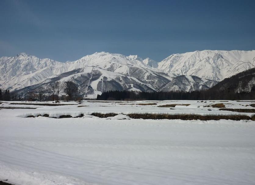 室外景 相片