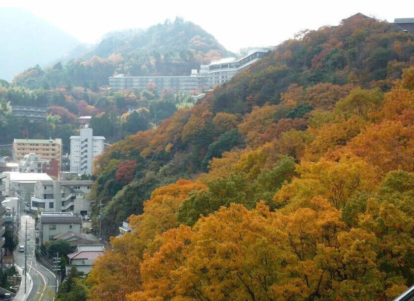 室外景 相片