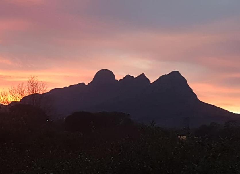室外景 相片