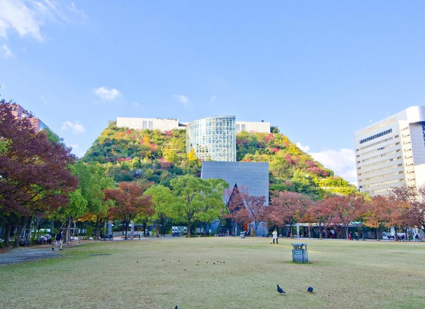 室外景 相片