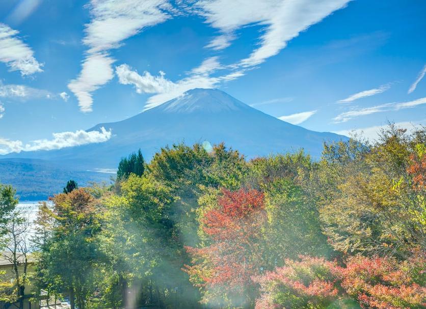 室外景 相片