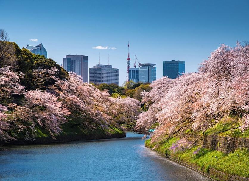 室外景 相片