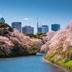 室外景
