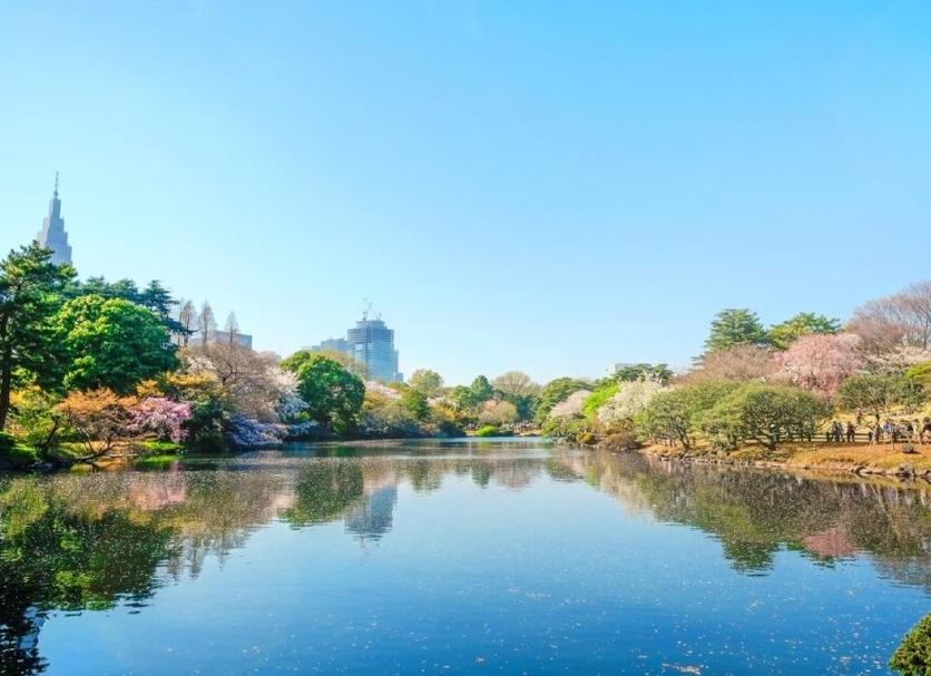 室外景 相片