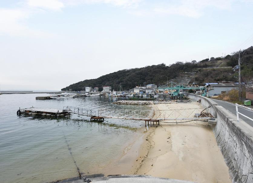 海灘 相片