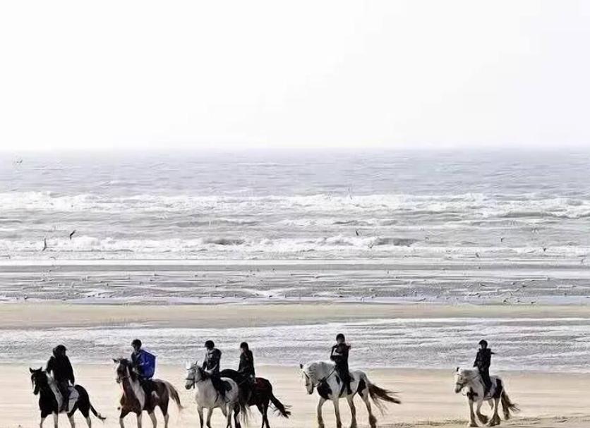 海灘 相片