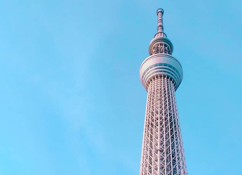 其他 相片