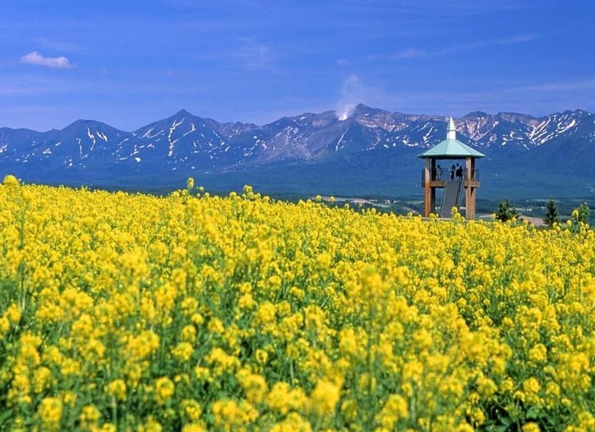 室外景 相片