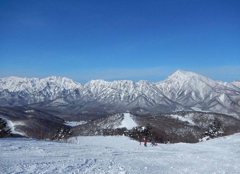 室外景 相片