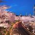 室外景