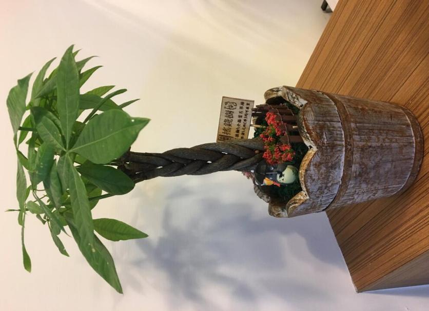 其他 相片