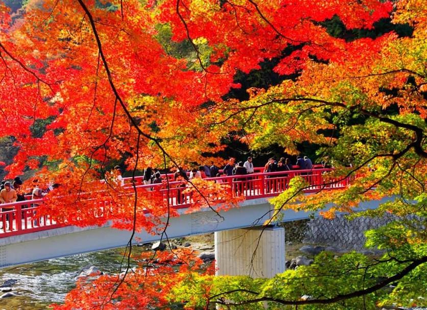 室外景 相片