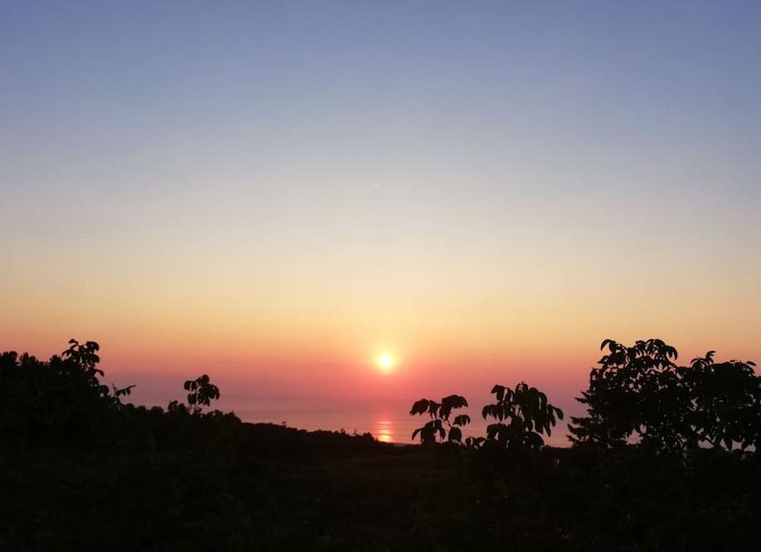 室外景 相片