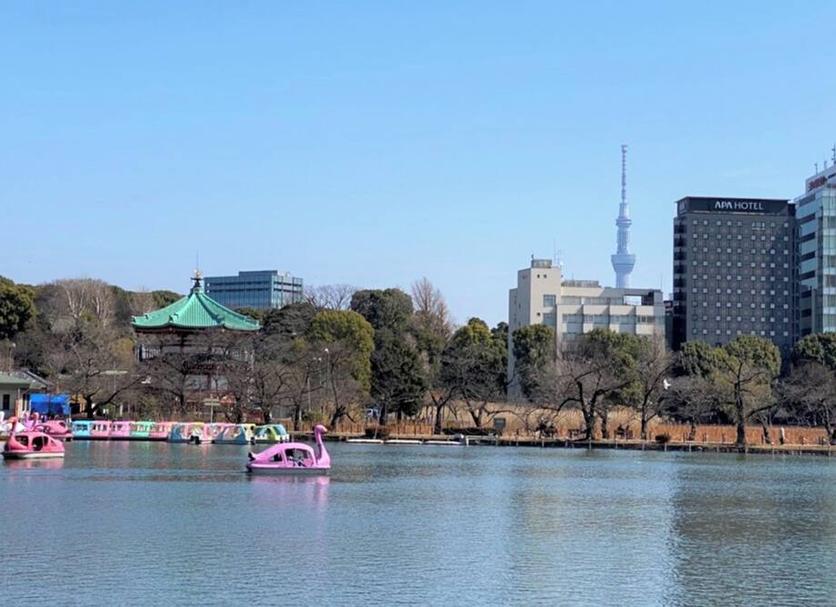 室外景 相片