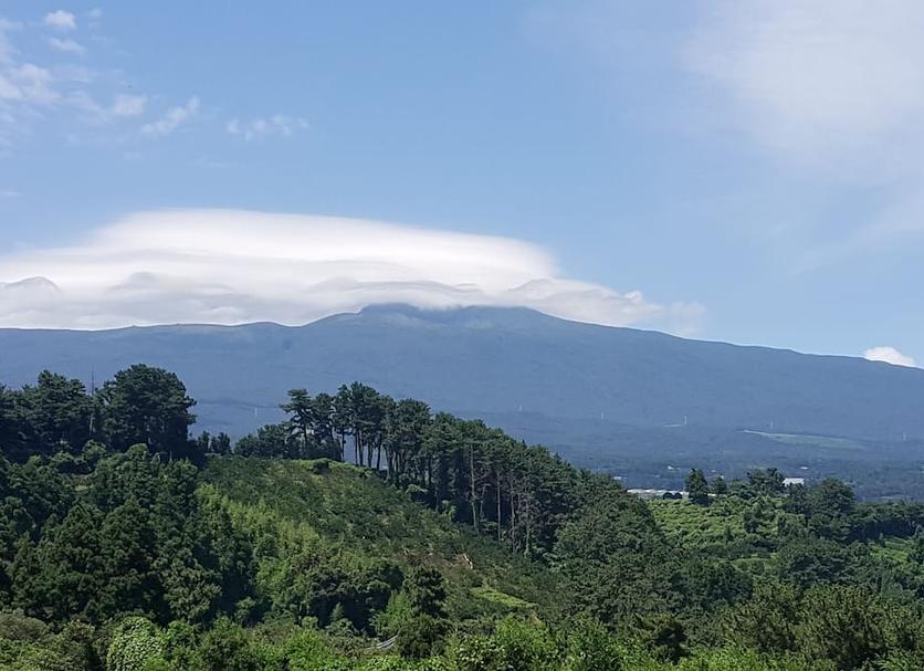 室外景 相片