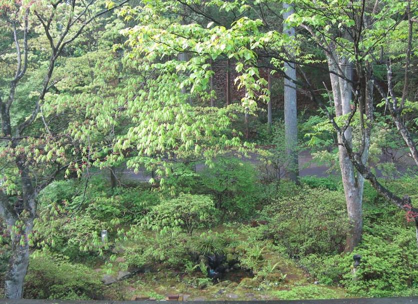 室外景 相片