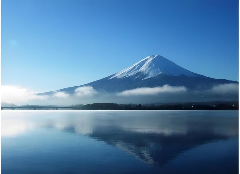 室外景 相片