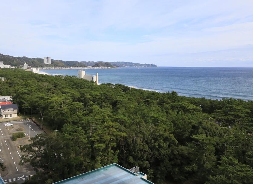 室外景 相片