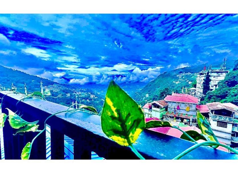 室外景 相片