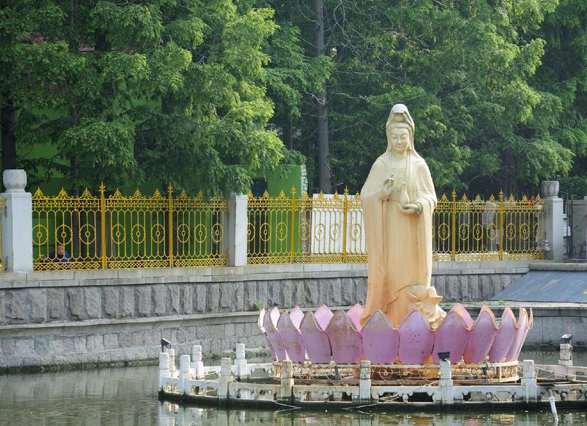 其他 相片