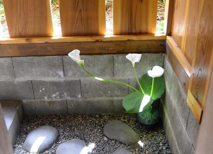 其他 相片