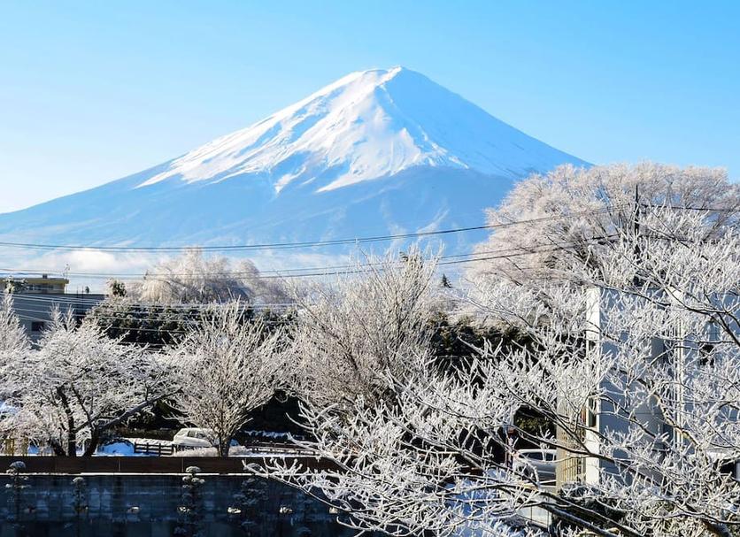 室外景 相片