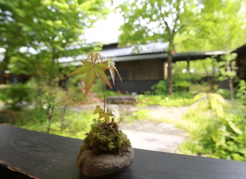 室外景 相片