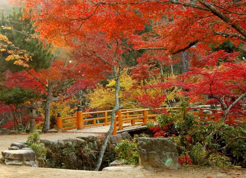 室外景 相片