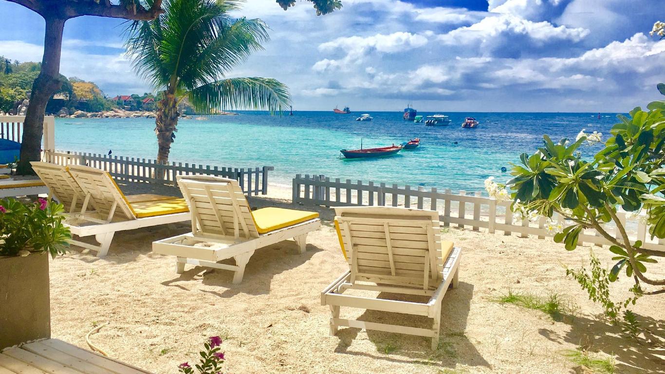 珊瑚景馬哈德賓館 - 龜島