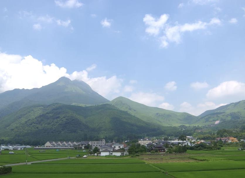 室外景 相片