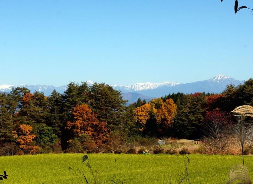 室外景 相片
