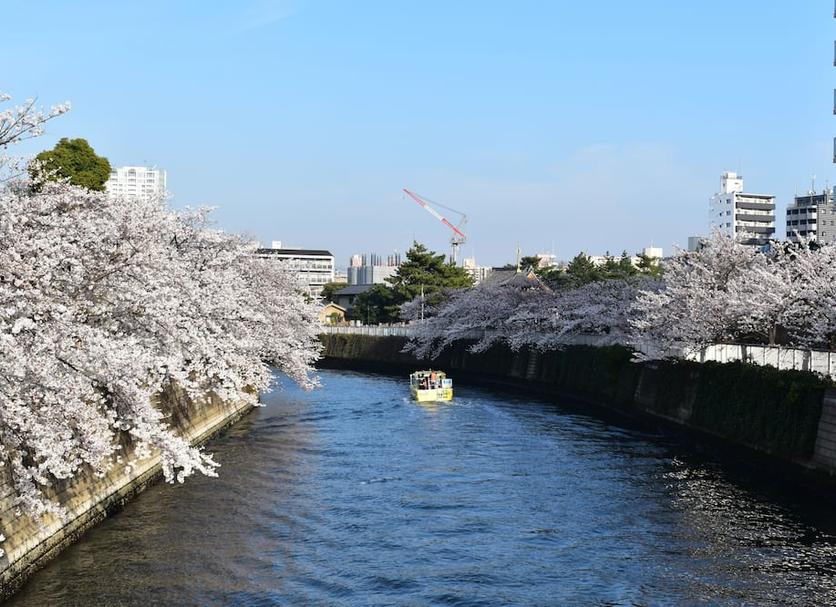 室外景 相片