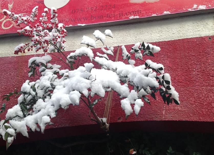 建築 相片