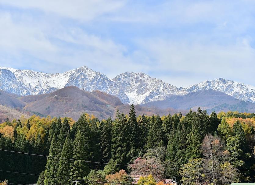 室外景 相片
