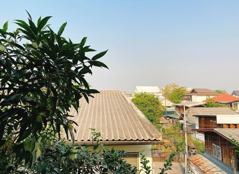 室外景 相片
