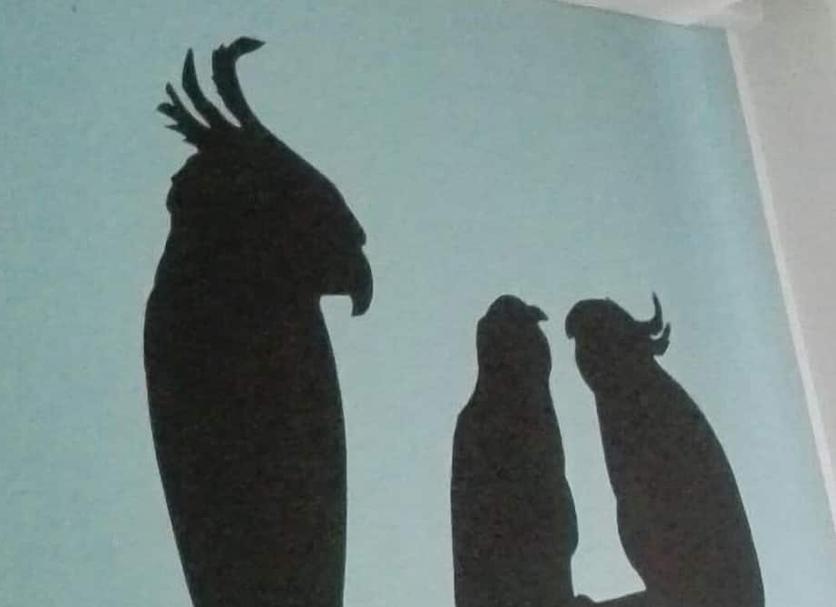 其他 相片