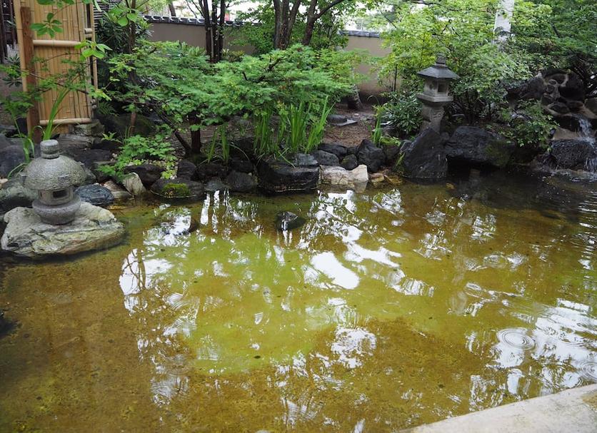 室外景 相片