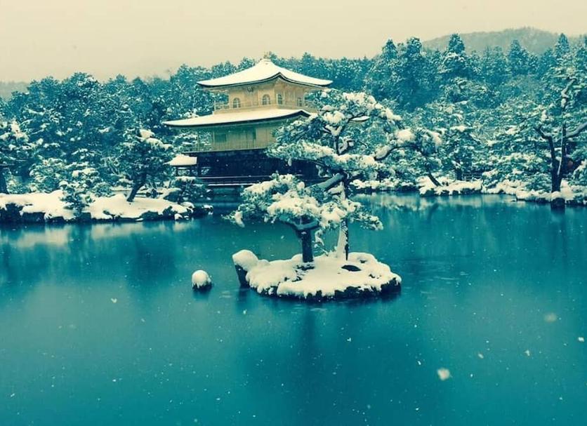 室外景 相片